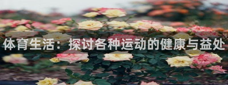 沐鸣2官网注册：体育生活：探讨各种运动的健康与益处