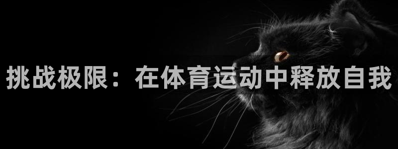 沐鸣平台注册入口：挑战极限：在体育运动中释放自我