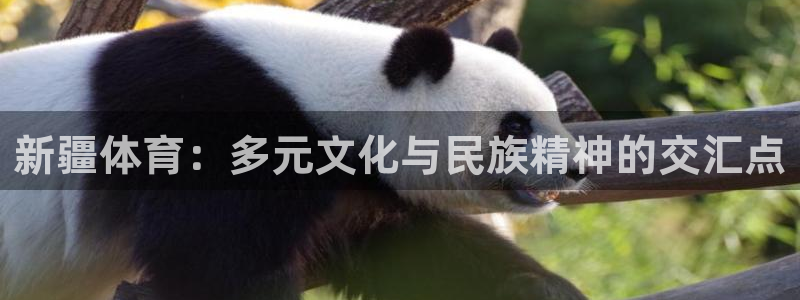 沐鸣2登陆：新疆体育：多元文化与民族精神的交汇点