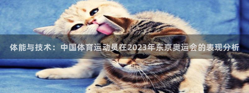 沐鸣2登录：体能与技术：中国体育运动员在2023年东京奥运会的表现分析