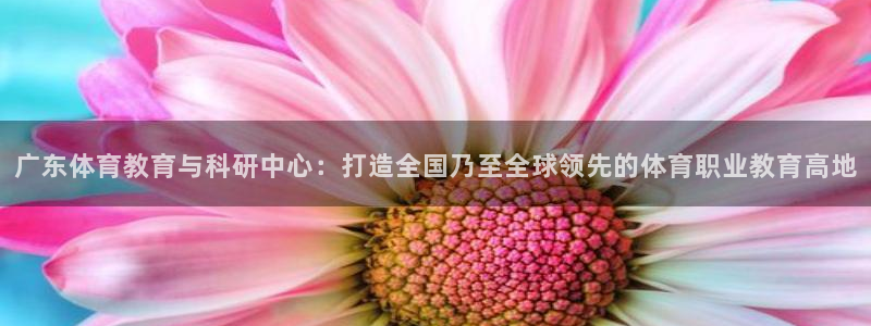 沐鸣凯捷平台：广东体育教育与科研中心：打造全国乃至全球领先的体育职业教育高地