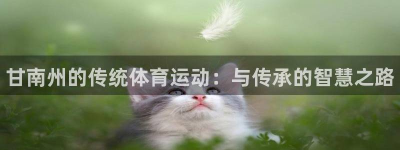 沐鸣体育官网：甘南州的传统体育运动：与传承的智慧之路