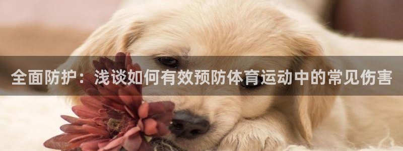 沐鸣体育eon：全面防护：浅谈如何有效预防体育运动中的常见伤害