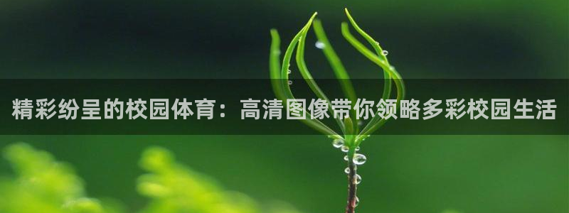 沐鸣体育凯捷平台代理：精彩纷呈的校园体育：高清图像带你领略多彩校园生活