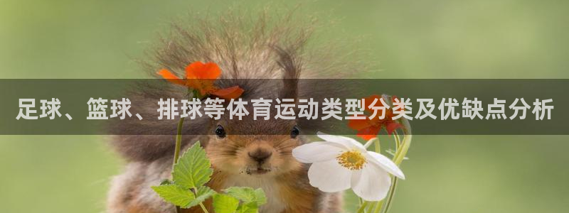 沐鸣网址官网：足球、篮球、排球等体育运动类型分类及优缺点分析