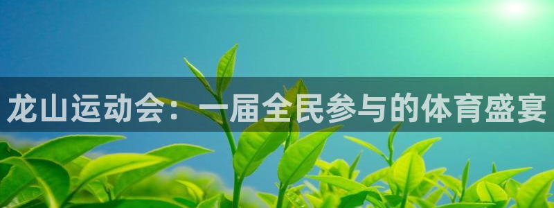 沐鸣在线登录：龙山运动会：一届全民参与的体育盛宴