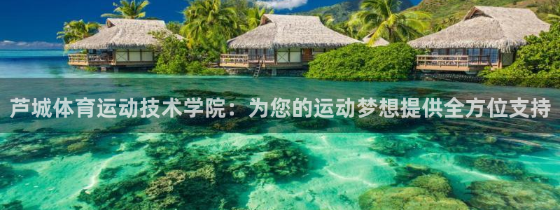 沐鸣招商：芦城体育运动技术学院：为您的运动梦想提供全方位支持