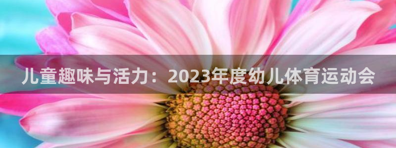沐鸣2官方登录：儿童趣味与活力：2023年度幼儿体育运动会