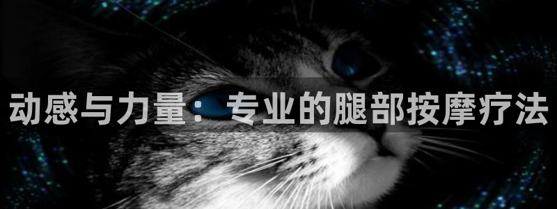 沐鸣登录网址：动感与力量：专业的腿部按摩疗法