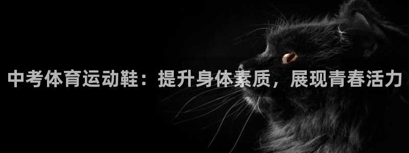 福建沐鸣机电股份公司：中考体育运动鞋：提升身体素质，展现青春活力