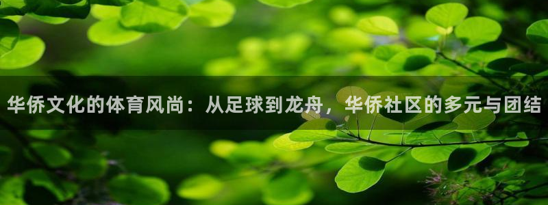 沐鸣代理：华侨文化的体育风尚：从足球到龙舟，华侨社区的多元与团结