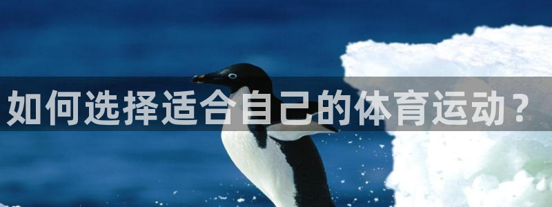 沐鸣娱乐注册：如何选择适合自己的体育运动？