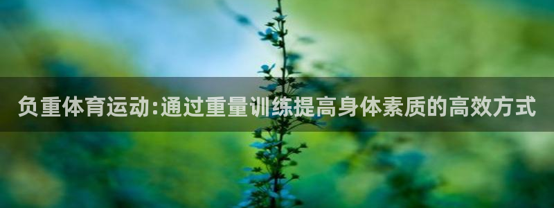 沐鸣2官网：负重体育运动:通过重量训练提高身体素质的高效方式