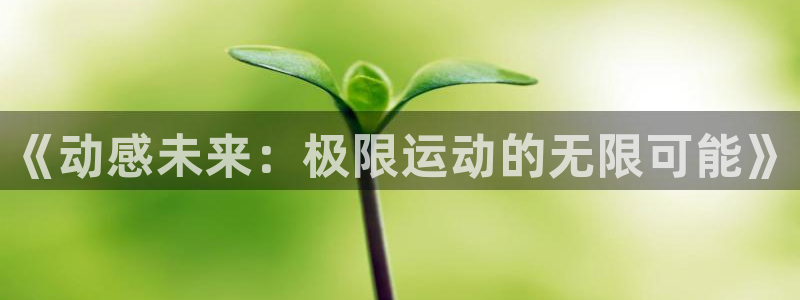 沐鸣3官网登录：《动感未来：极限运动的无限可能》