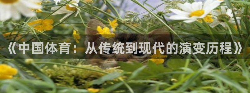 沐鸣体育app下载：《中国体育：从传统到现代的演变历程》