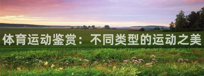 沐鸣f凯捷注册：体育运动鉴赏：不同类型的运动之美